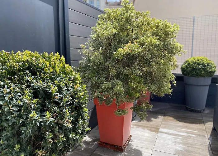 La Bonneterie Grand Appartement Part Dieu De Charme Pour 8 Personnes
